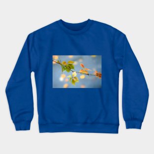 Colorful autumn leaves on nature background Crewneck Sweatshirt